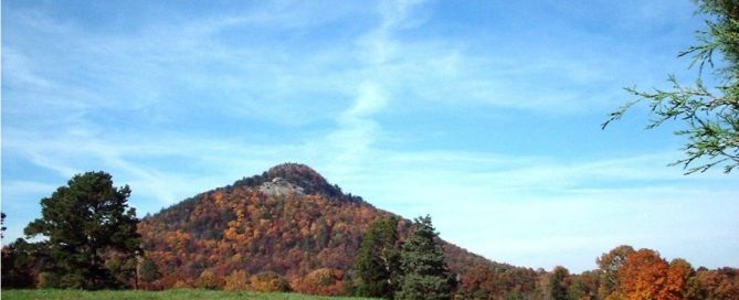 Photo of a forested mountain covered in autumn foliage under a blue sky.
